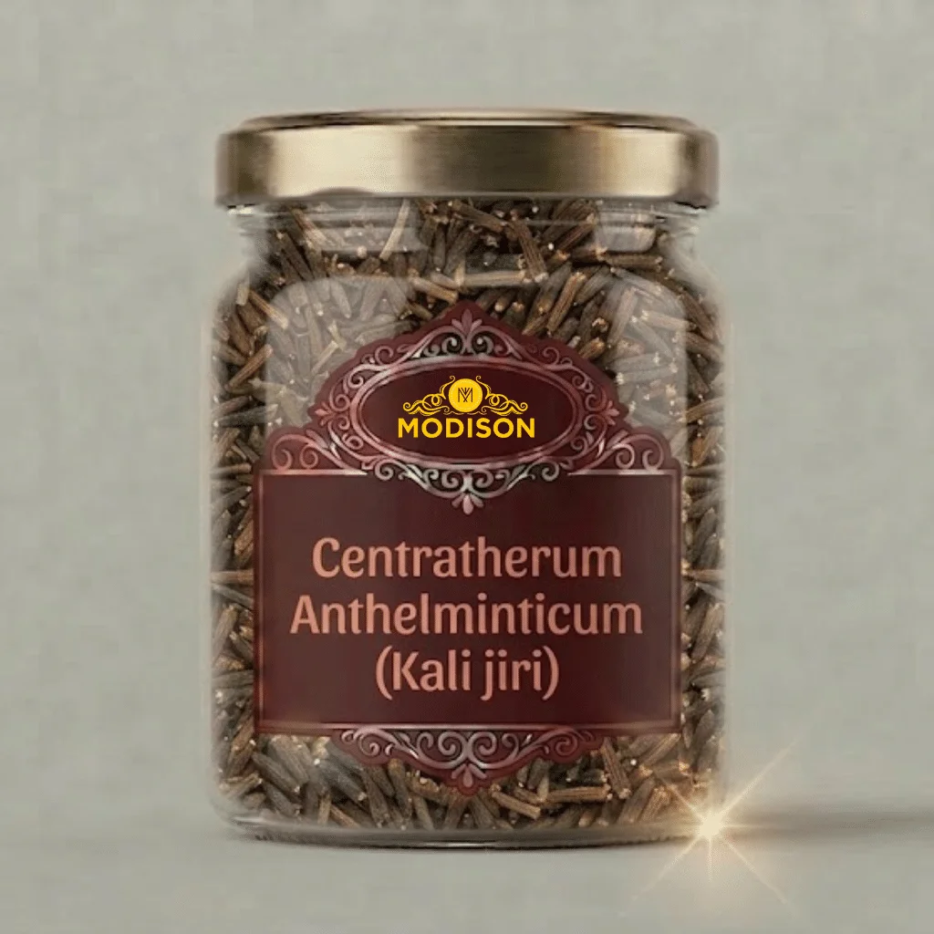 Modison Centratherum Anthelminticum (Kali jiri)